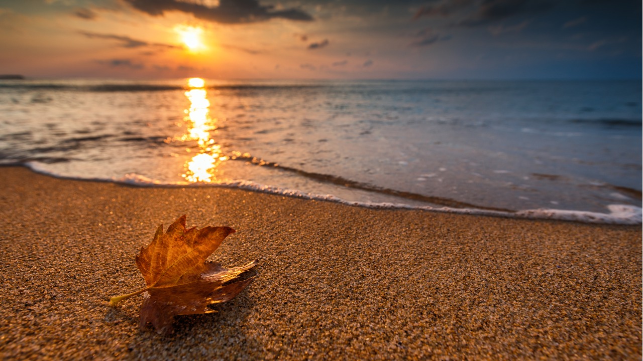 beautiful-sunrise-over-the-sea-and-leaf-autumn-concept-picture-id837260190