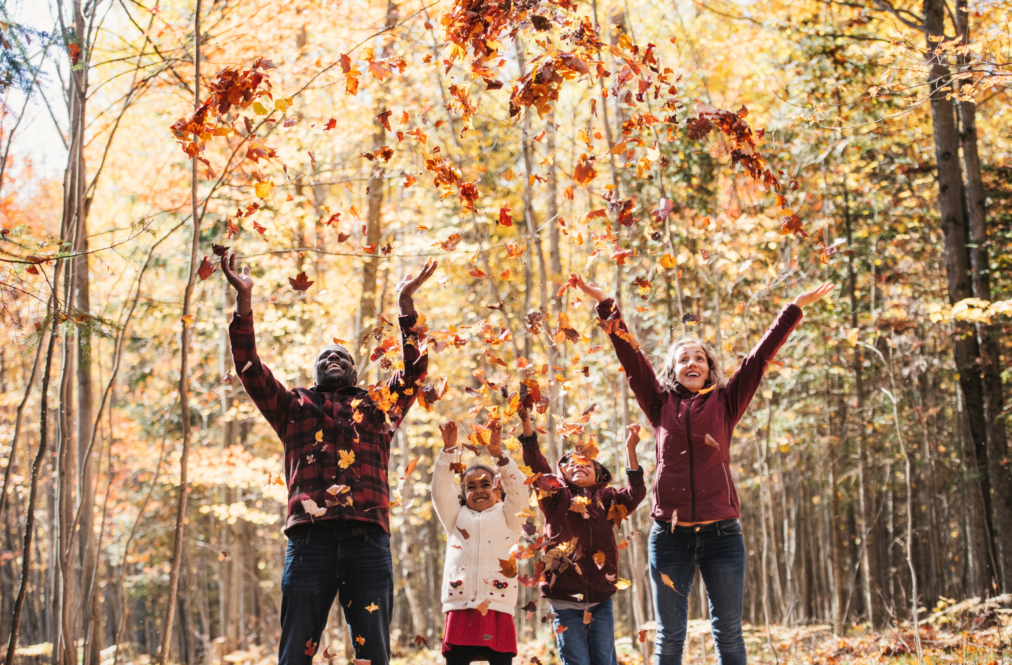 mixed-raced-family-in-a-forest-throwing-maple-leaves-picture-id1182680476